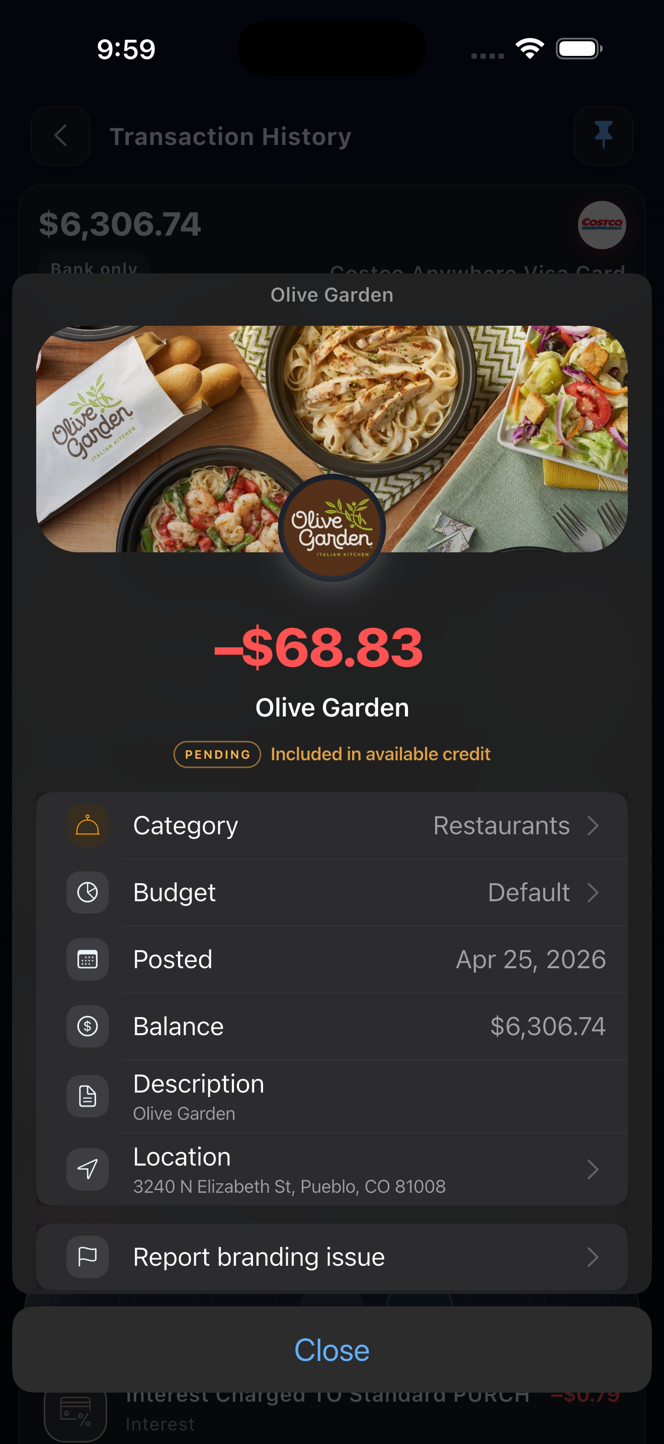 Branded transaction detail with category, budget, posted date, balance, description, and location
